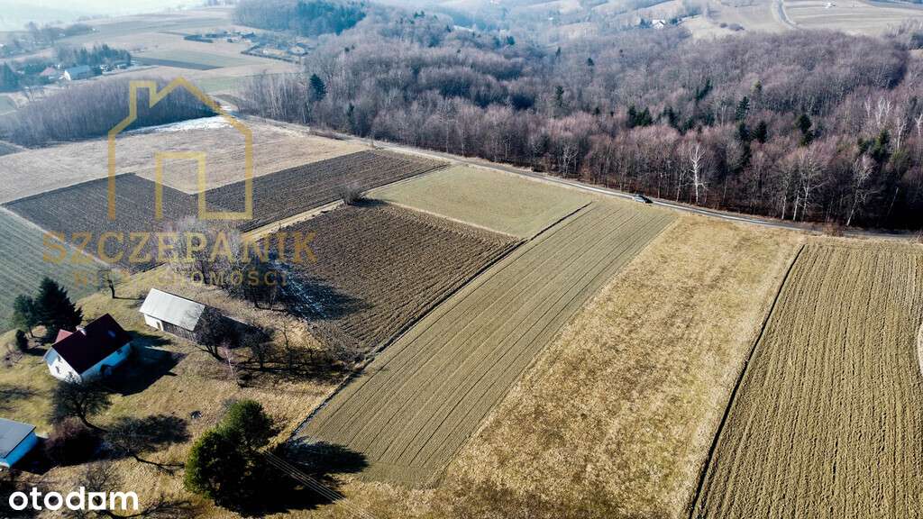 Piękna działka Budowlana w Sowinie - Pełny obrazek: 4/6