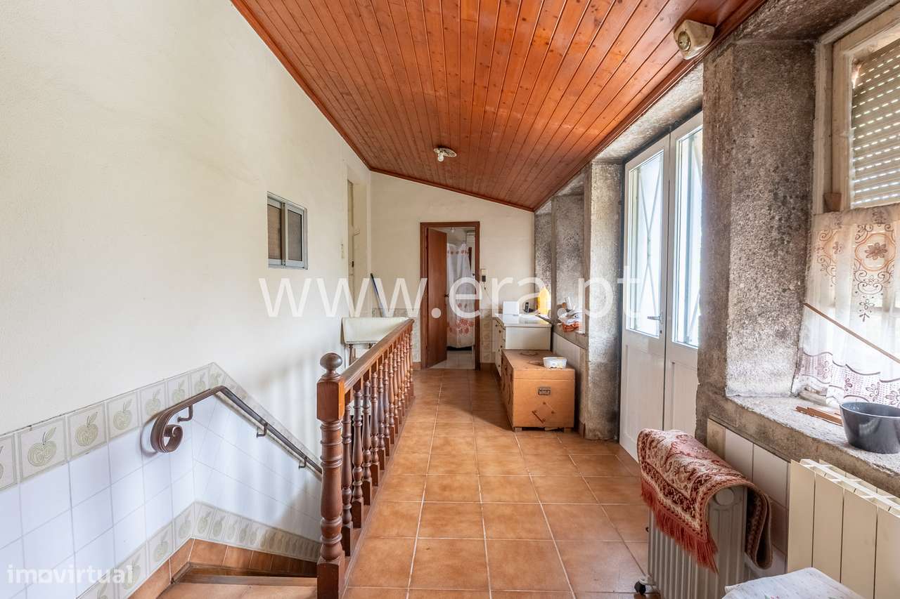 Onde a Visão Encontra a Natureza-11