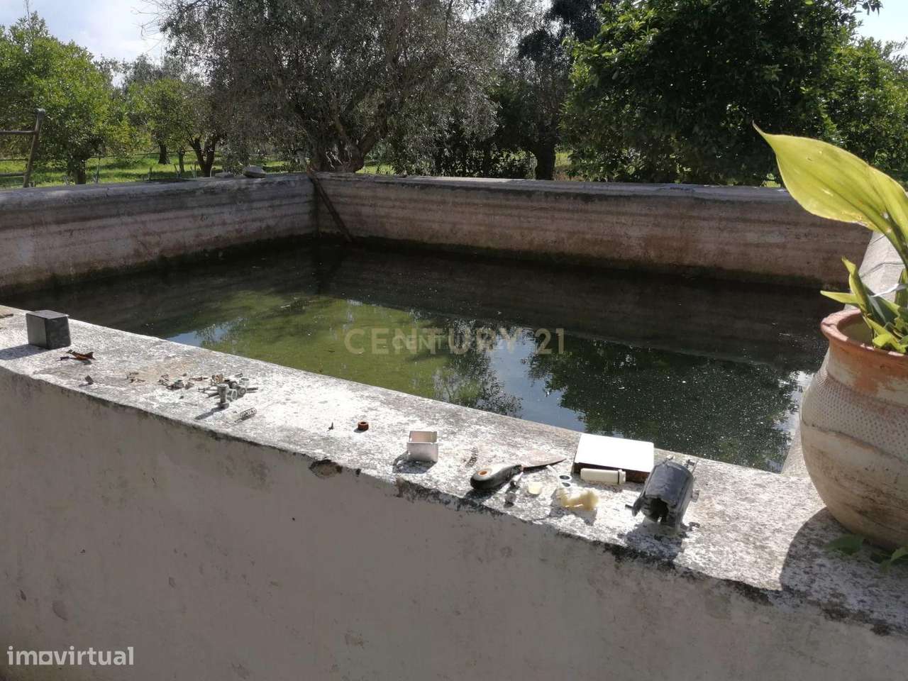 Quinta no Carapetal-15