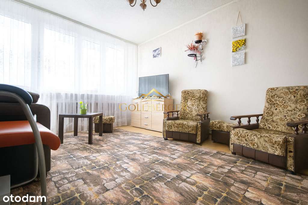 Rataje/świetna lokalizacja/wolne od zaraz! - Pełny obrazek: 2/14