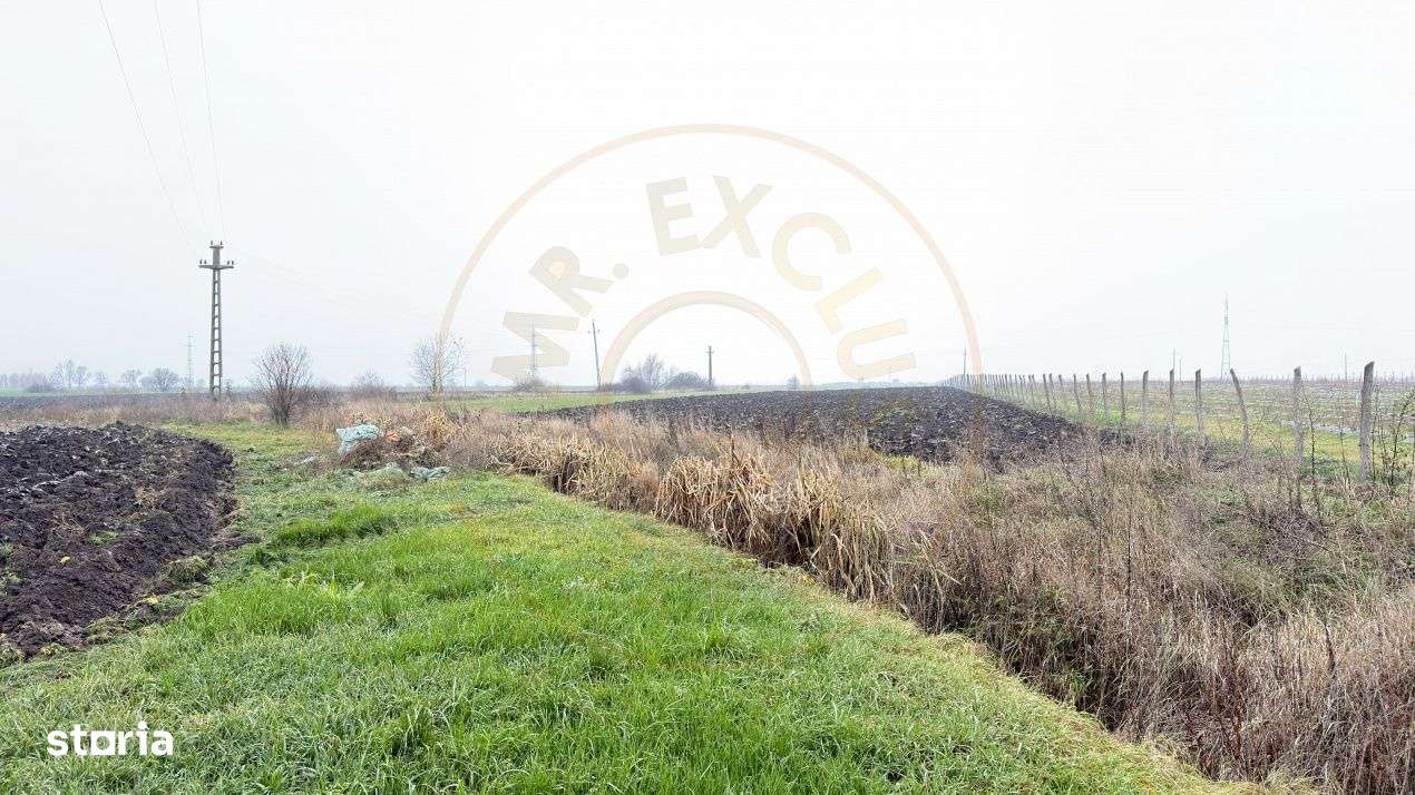 Terenuri intravilane 4.454 mp Drum DN 1F - Loc. Ghenci - Jud. Satu Mar - Imagine principală: 4/7