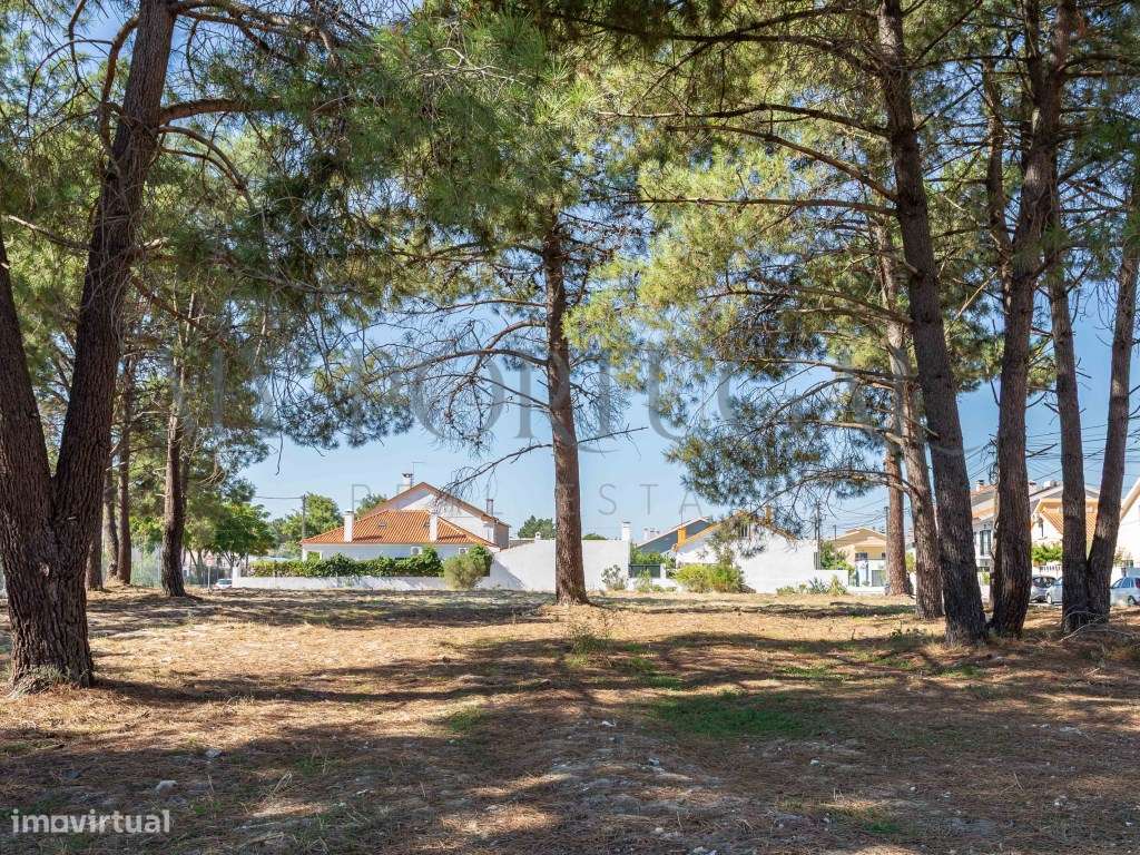 Oportunidade Única de Investimento em Saúde e Bem-Estar na Quinta d... - Grande imagem: 4/25