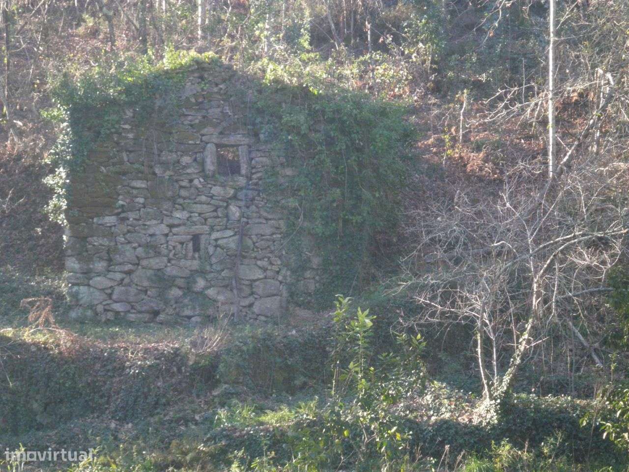 Terreno junto ao rio – Sever do Vouga - Grande imagem: 2/11