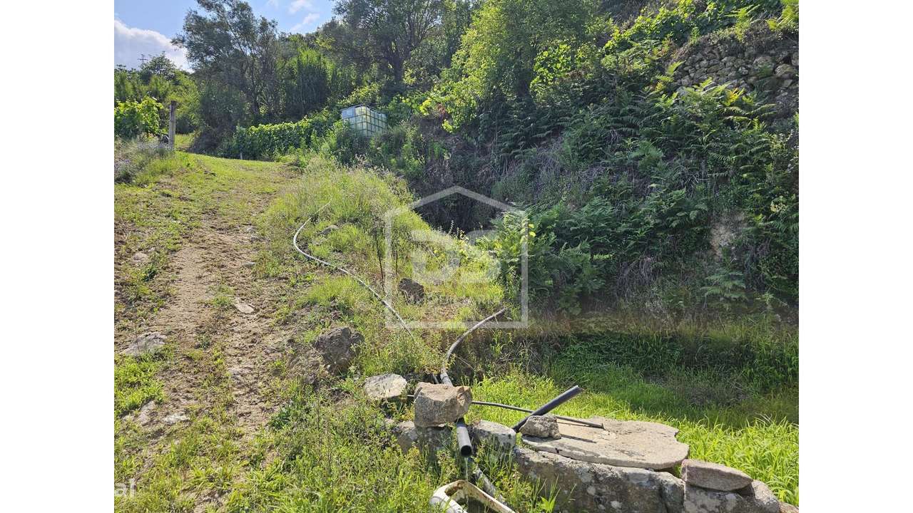 Quinta  Venda em Várzea de Abrunhais,Lamego-6
