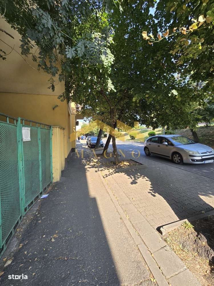 Apartament 4 camere+anexa 2 camere pe Malul Muresului/Str. Praporgescu - Imagine principală: 3/20