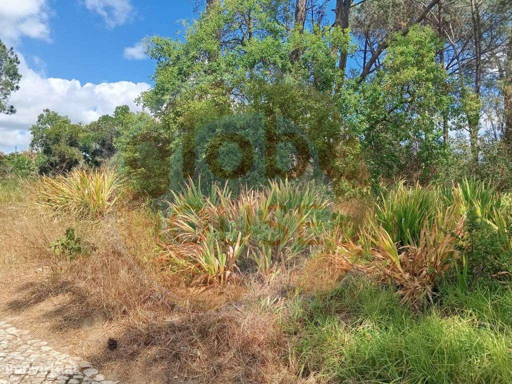 Lote de Terreno para construção de Moradia T4-7
