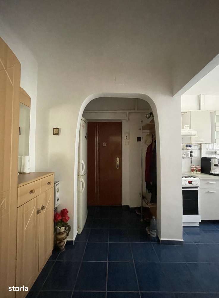 Apartament două camere Grădină Botanică-3