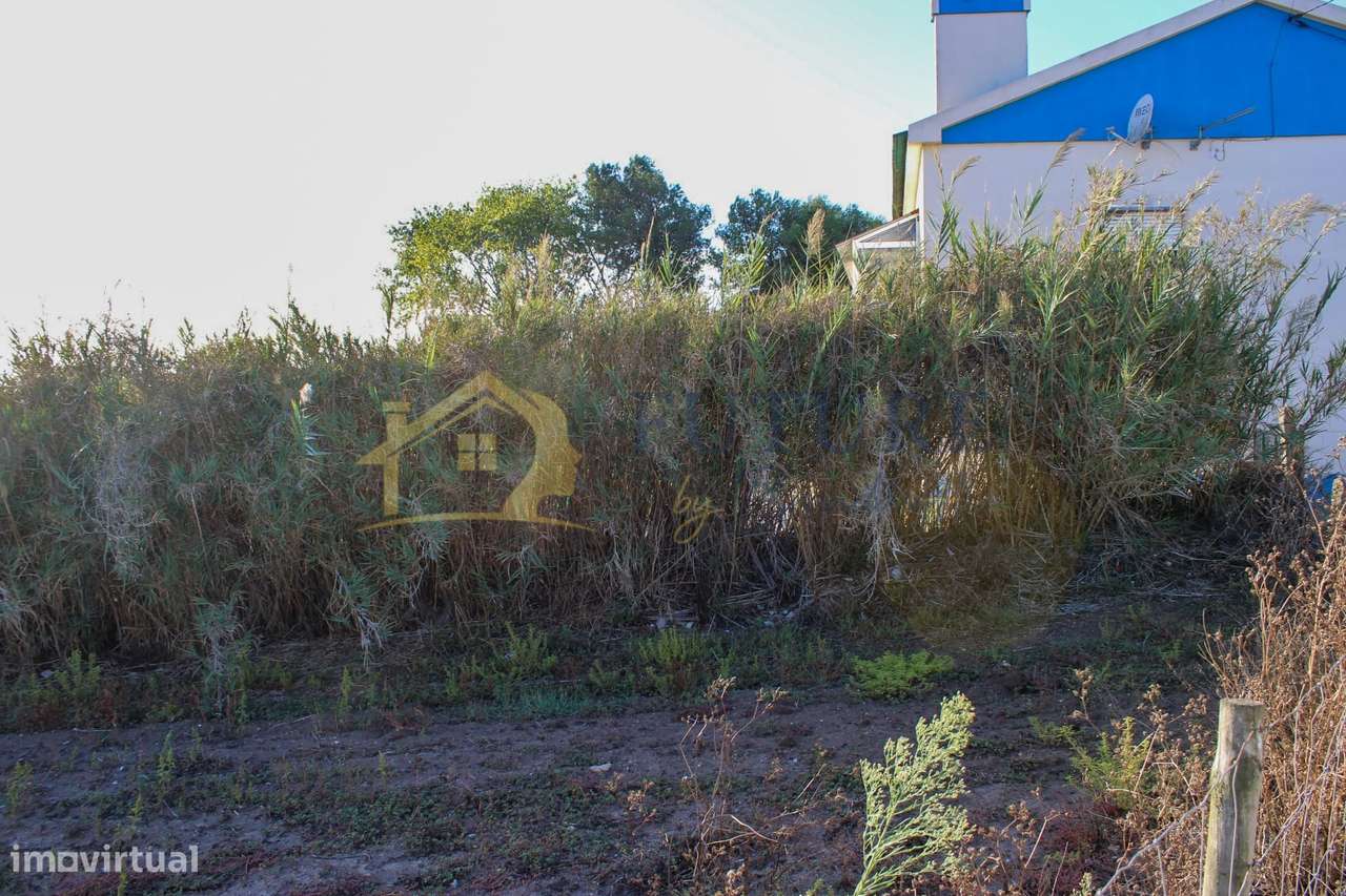 Terreno  Venda em Bombarral e Vale Covo,Bombarral-14