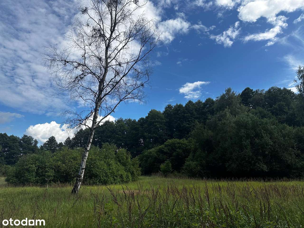 Piękna nieruchomość z potencjałem - Pełny obrazek: 5/17