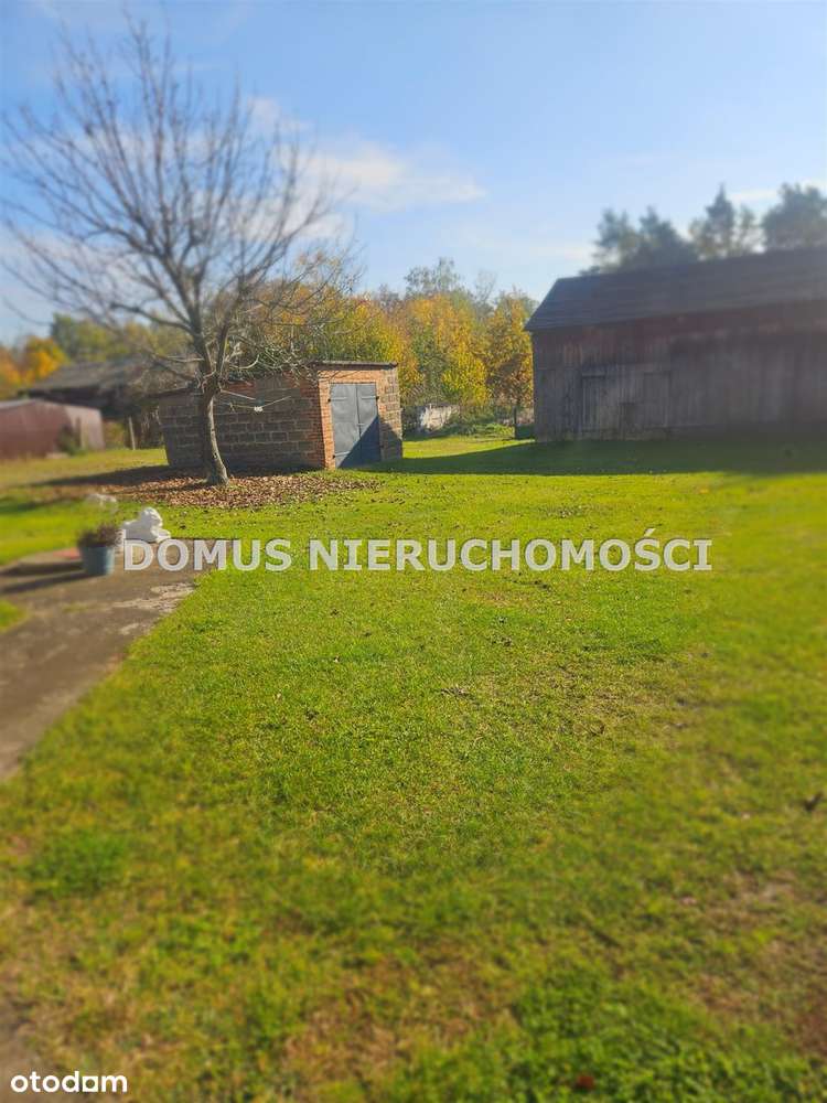 Klimatyczne siedlisko-15