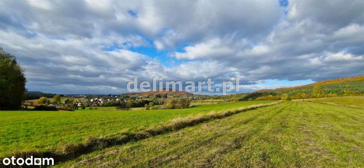 Piękna widokowa działka Srogów Dolny - Pełny obrazek: 5/18