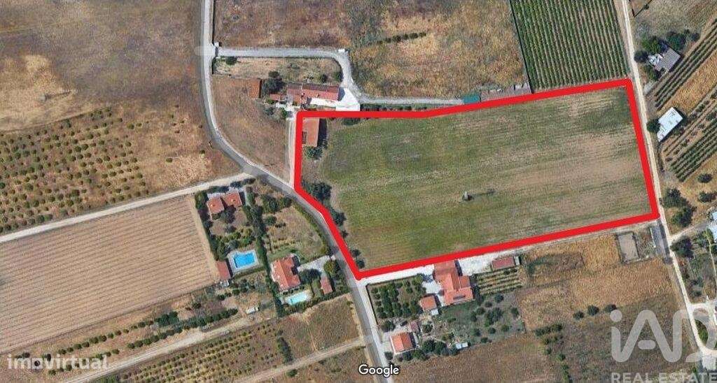 Terreno Agrícola em Quinta do Anjo - Grande imagem: 5/16