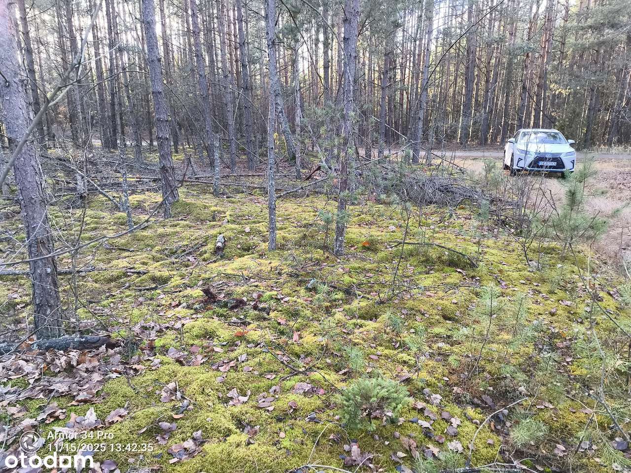 Leśniczówka Unikalne niespotykane miejsce w Europie  w Puszczy Białow.-8