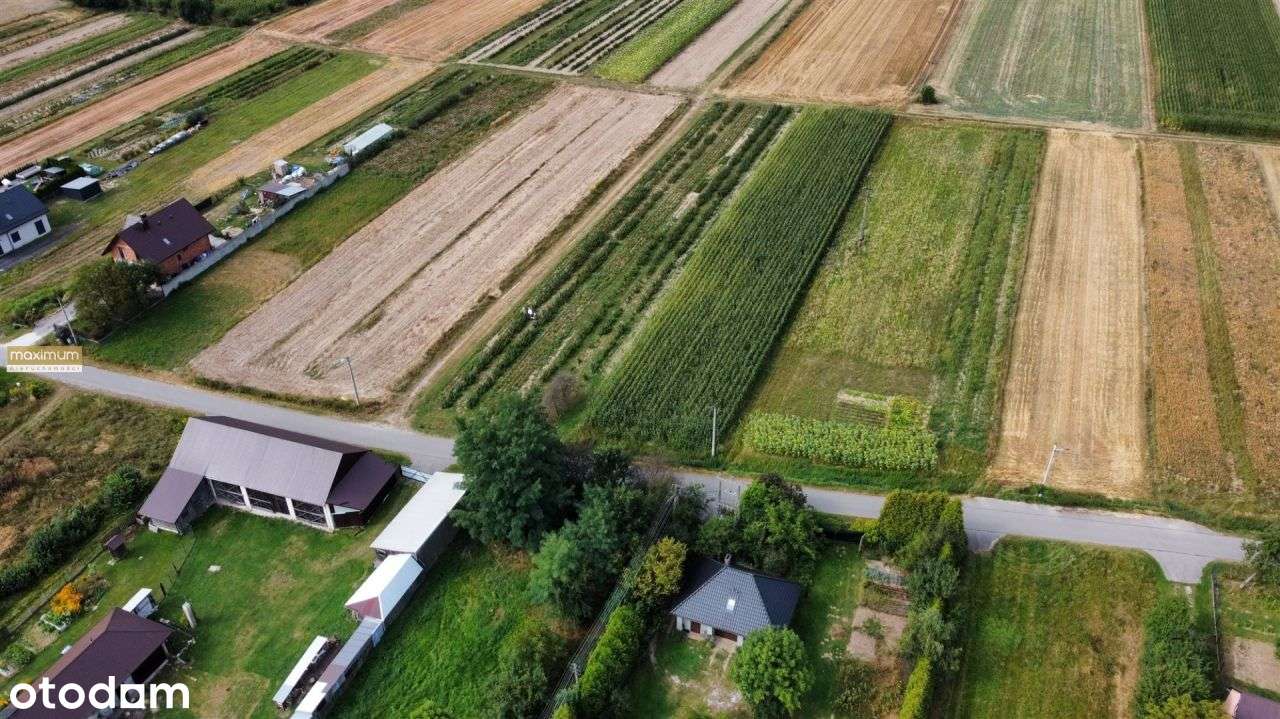 Działka budowlana 19 ar | Biszcza - Pełny obrazek: 4/6