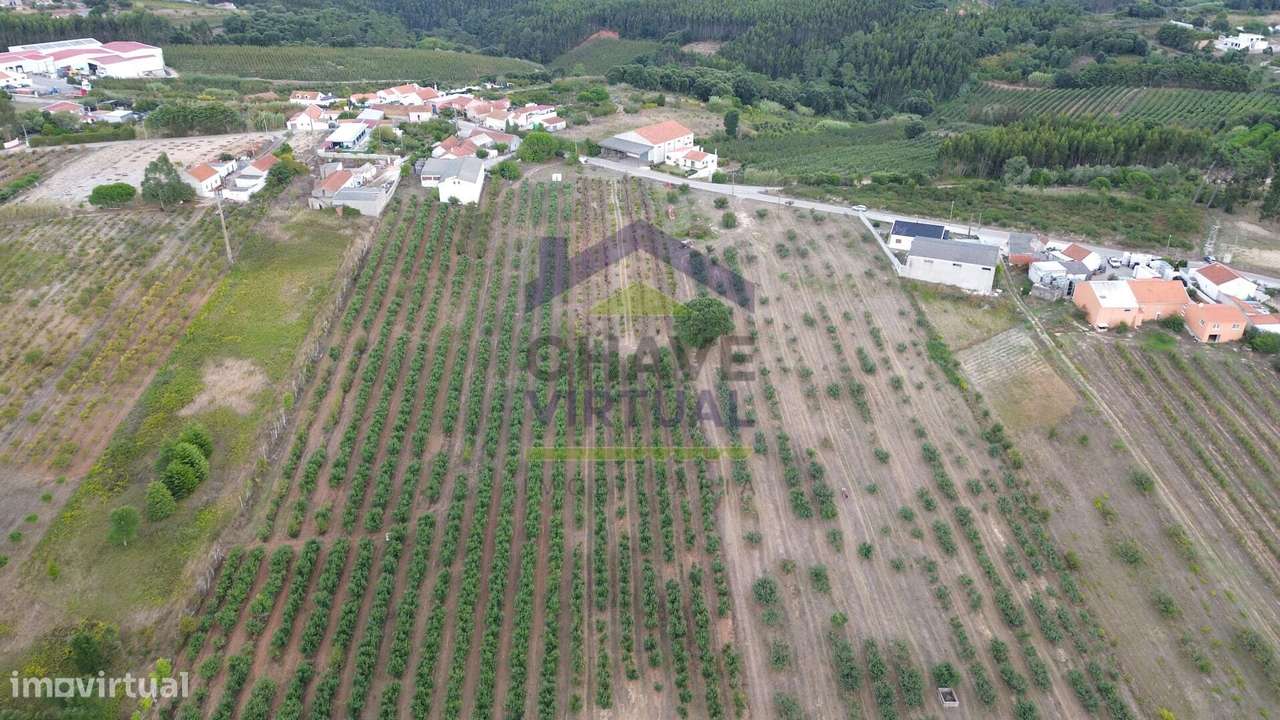 Terreno Rústico Construtível c/ 7.859 m2 Carvalhal - Bombarral-8