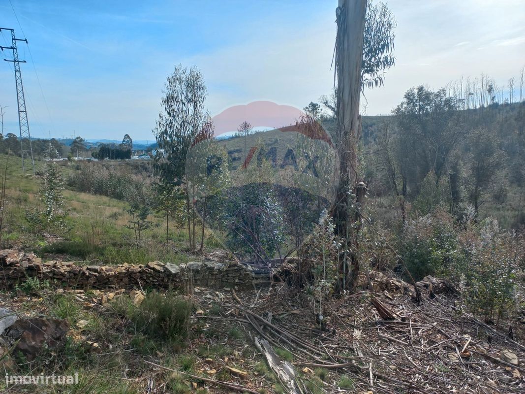 Terreno  para venda