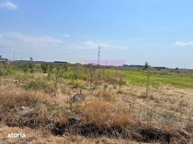 Teren Domnesti- Fortului. - Imagine principală: 2/4