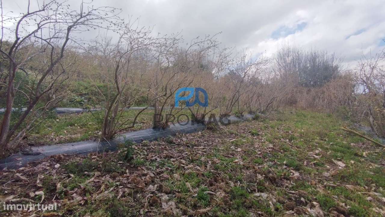 Terreno Urbanizável de 7959 m² com Armazém-37