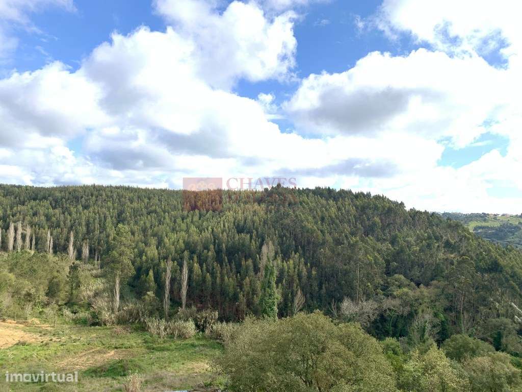 Mafra - Quinta com casa para renovar, vinha e vista deslumbrante! P... - Grande imagem: 2/11