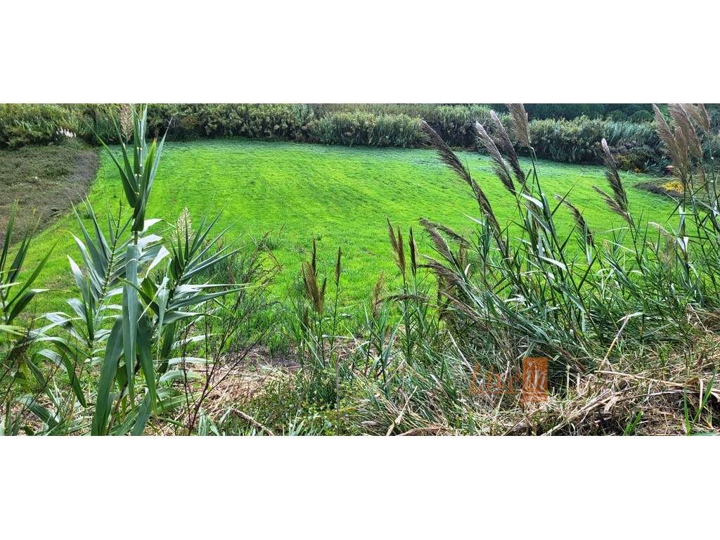 Terreno Rústico com 9.600 m2 em Vila Franca do Rosário - Grande imagem: 4/11