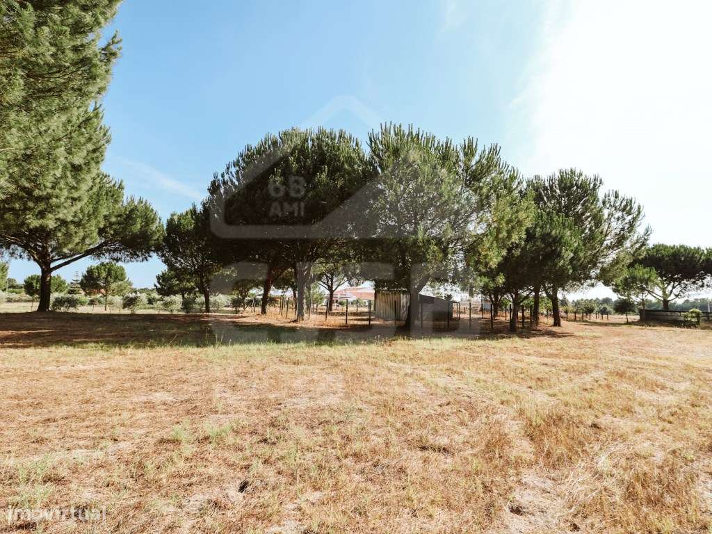 Quinta T5 na Branca-51