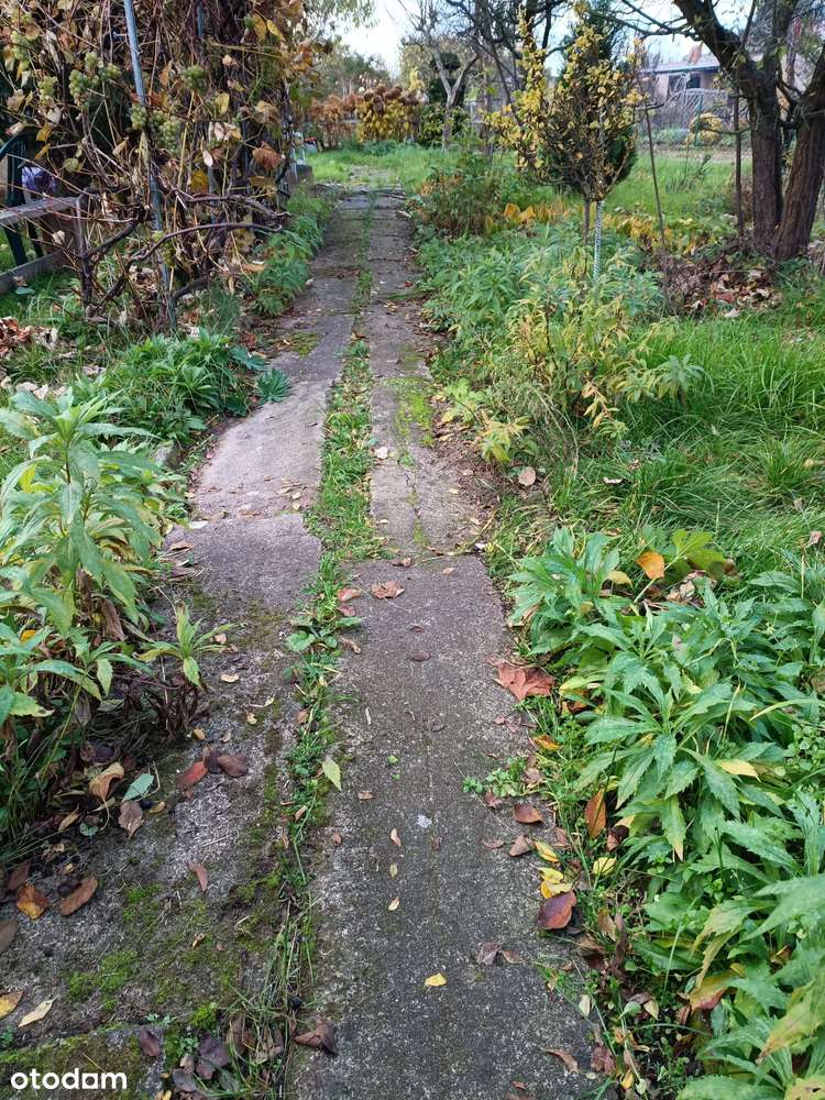 Działka rekreacyjna 300 m² w mieście - Pełny obrazek: 5/5