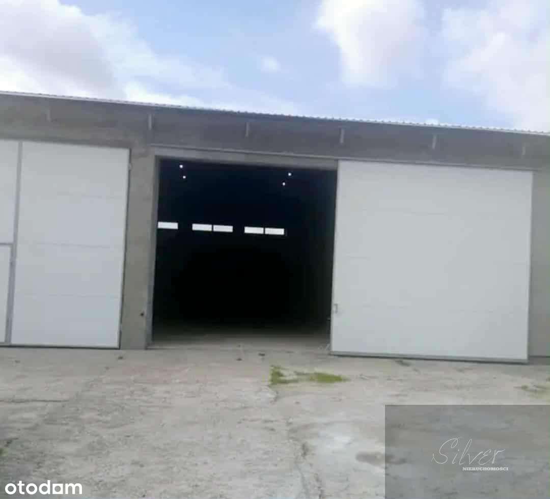 Wynajmę halę magazynową 450 m² – Konstantów k. Błonia blisko A2, - Pełny obrazek: 4/4