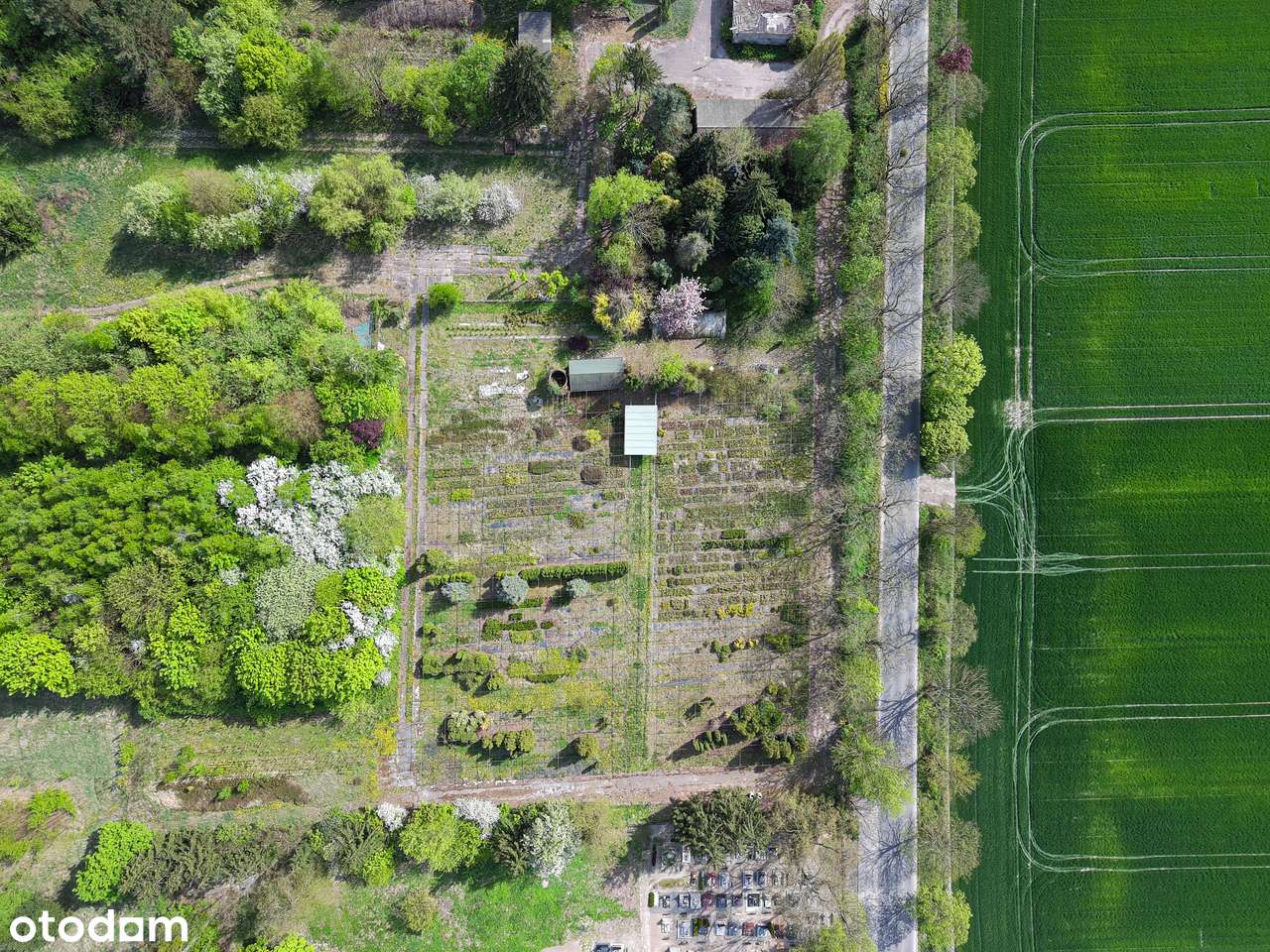 Nieruchomość – Sumin (gm. Kikół)-3