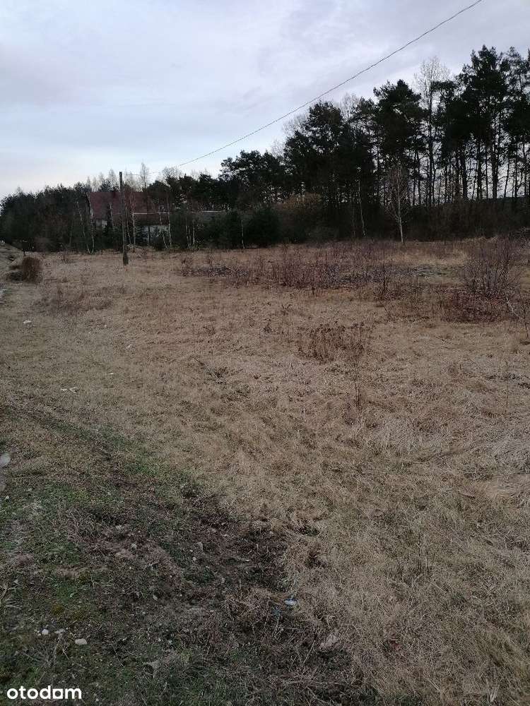 Działka w Teofilowie - Pełny obrazek: 4/5