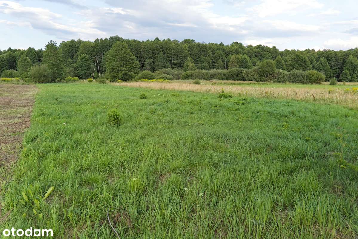 Działka, 1 054 m², Olchówka-7