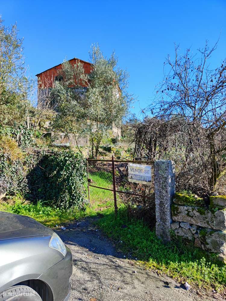 Area rustica1019m2 ,area urbana 81m2 - Grande imagem: 4/4