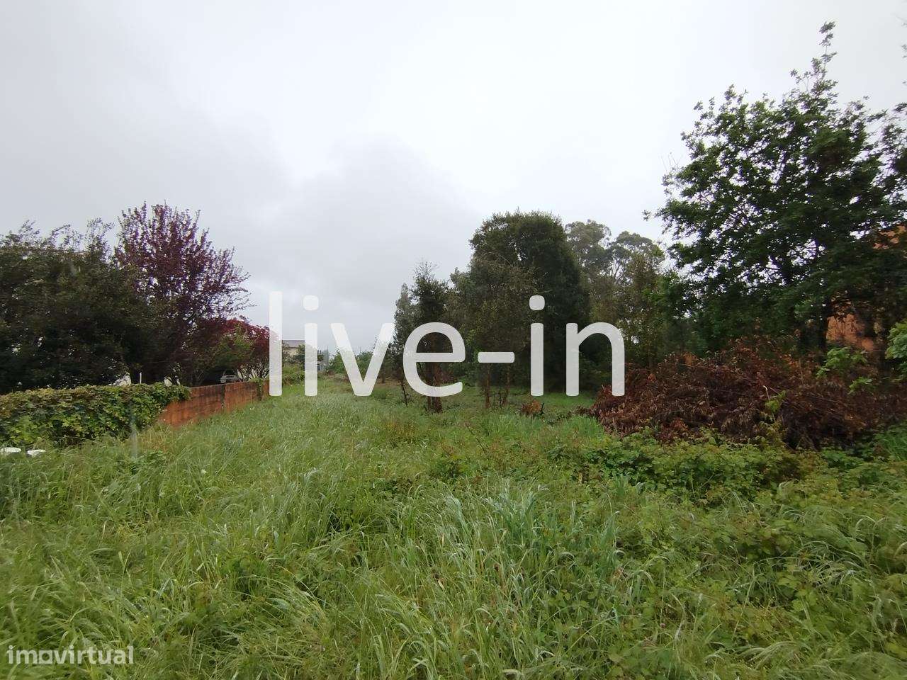 Terreno urbano para construção em Cacia-0