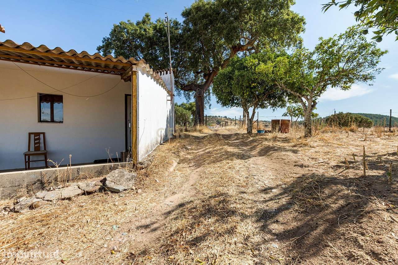 Monte Alentejano com 45 Hectares e Infraestruturas Agrícolas-9