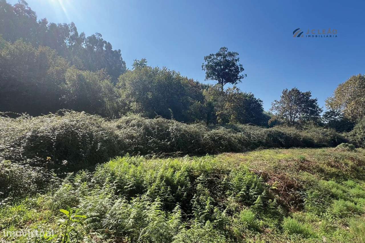 Terreno Agrícola 10.400 m² – Rebordosa, Paredes-3