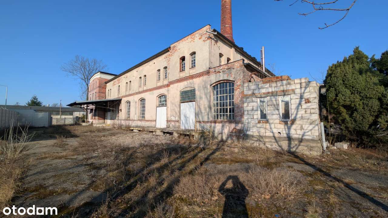 Teren inwestycyjny 5041 m² z budynkiem i koncepcją Grudziądz, ul. Bema - Pełny obrazek: 5/19