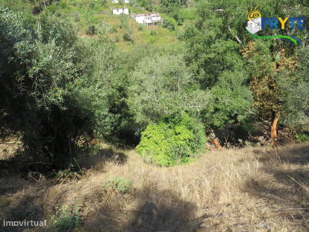 Terreno para construção inserido no aglomerado urbano da Vila da Sertã-11