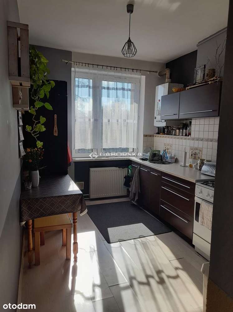 2 pokoje w zielonej okolicy - Pełny obrazek: 4/6