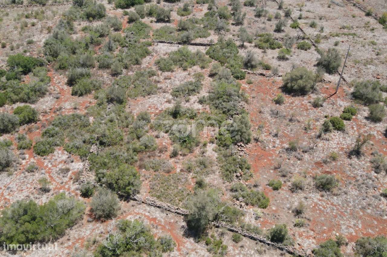Terreno rústico em Messines, Zimbreira, com 7.320m2 - Grande imagem: 4/18