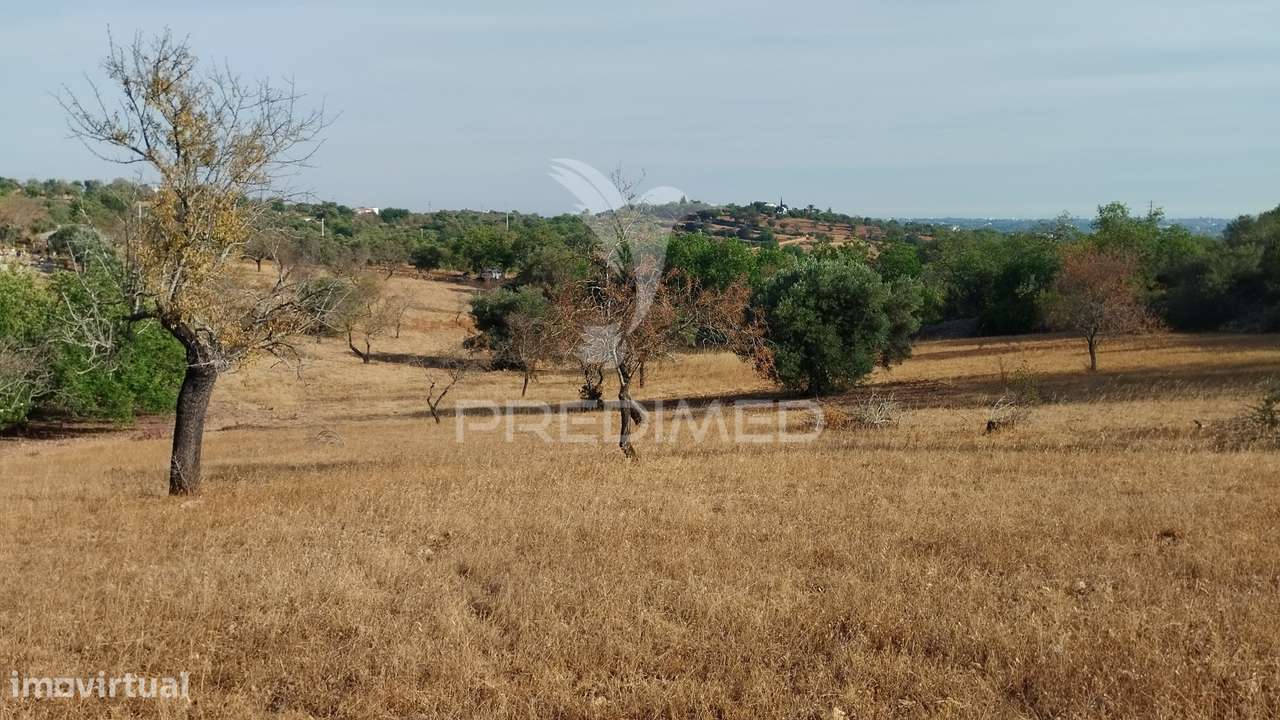Terreno rustico vista mar Alcaria Cova Estoi - Grande imagem: 2/9