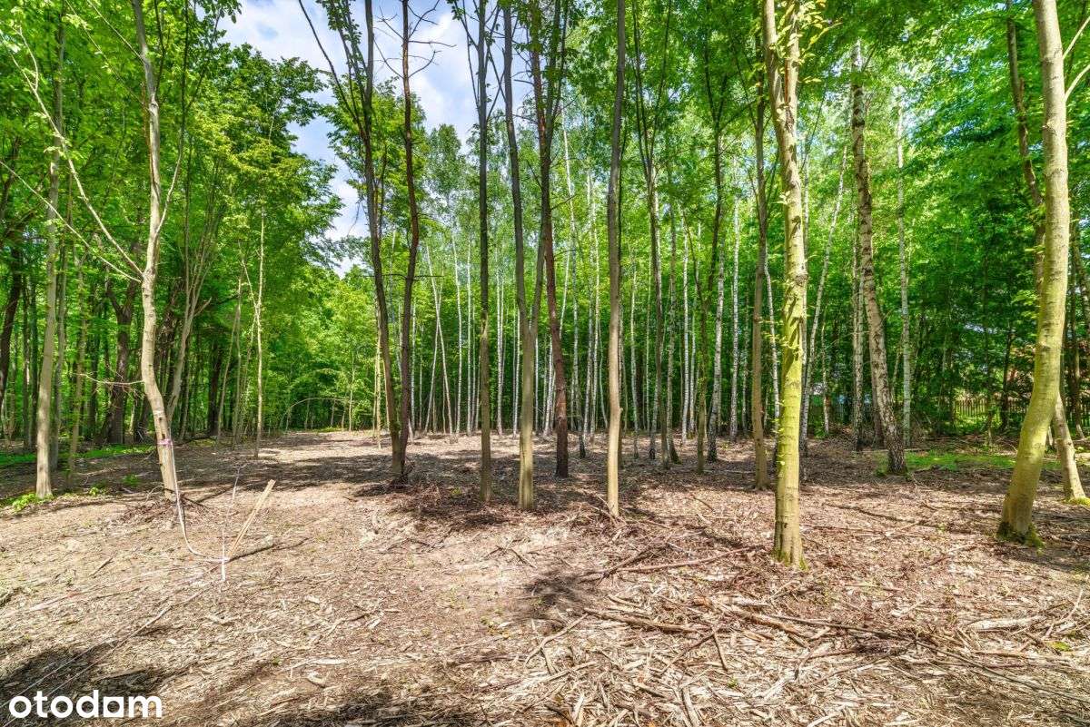 Działka z wydanymi warunkami zabudowy 2 domy - Pełny obrazek: 4/11