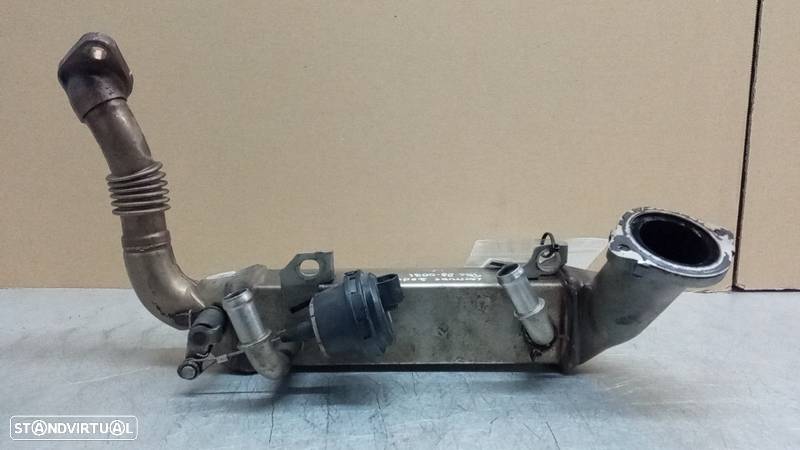 Radiador Da Egr 1 Renault Latitude (L70_) - 1