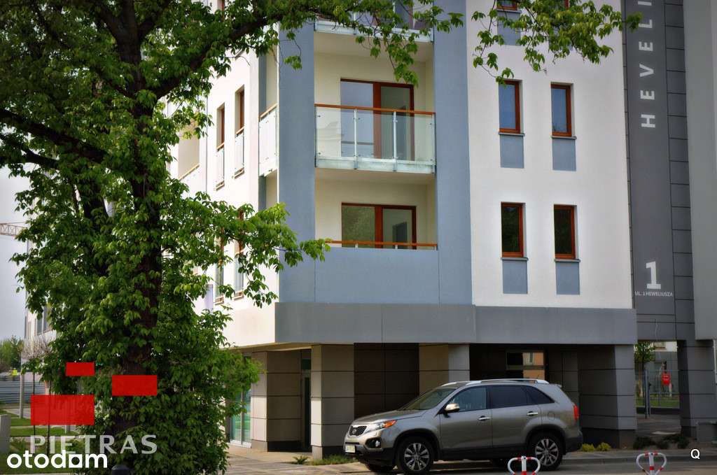 Grunwald  1 p. Heweliusza ładne przy parku-0