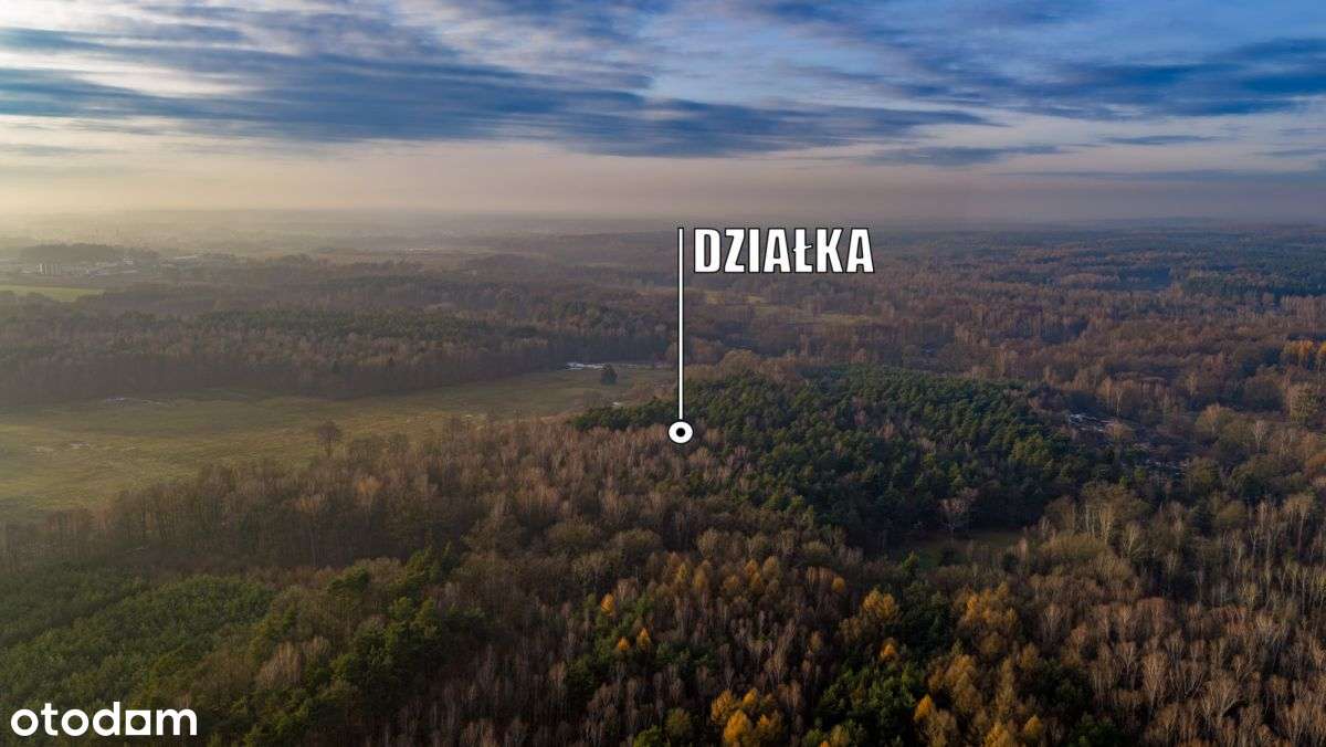 Działka Premium z prywatny lasem - 7,99ha-0