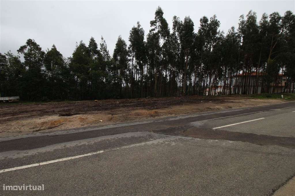 Terreno, Coimbra, Torres do Mondego - Grande imagem: 3/9