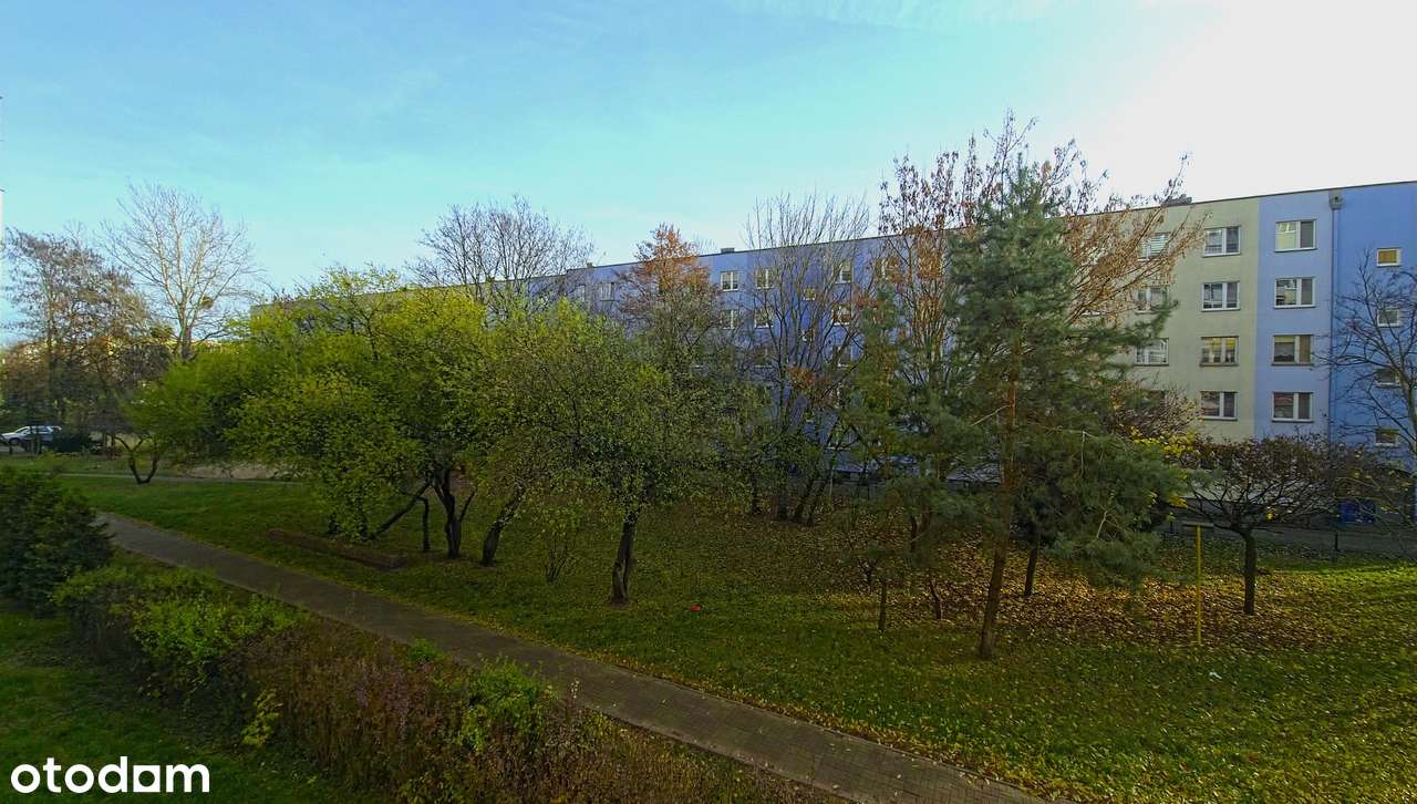 Słoneczne mieszkanie z potencjałem !-10