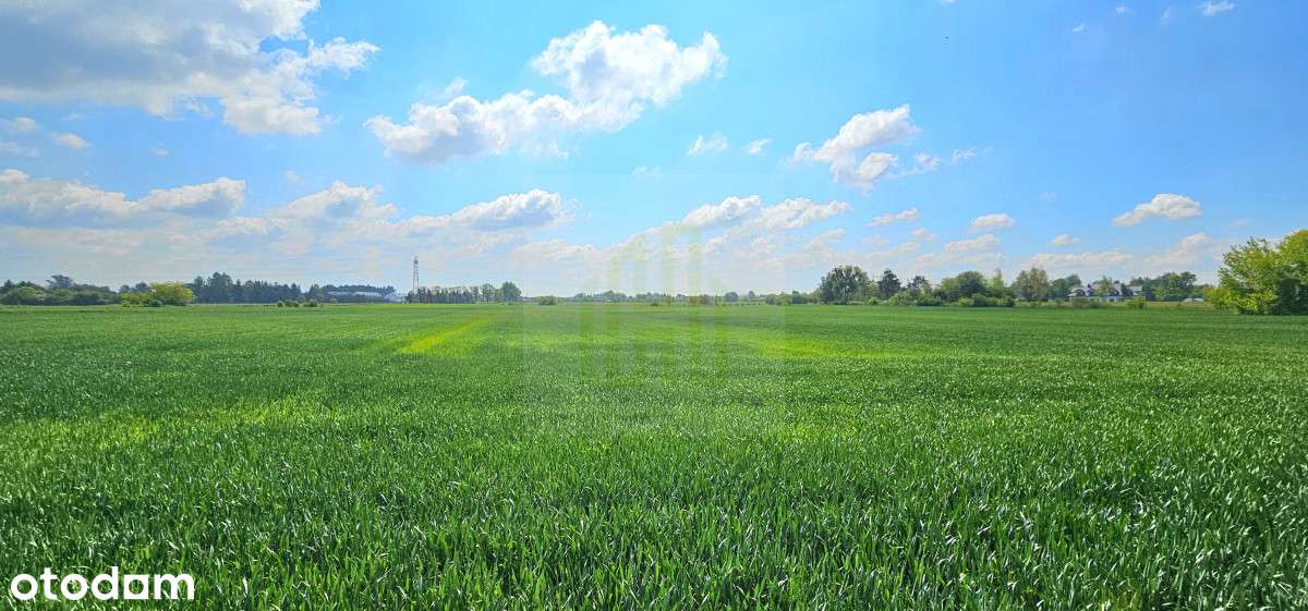 Piękna działka w Bieniewicach 1600 m2. - Pełny obrazek: 5/5