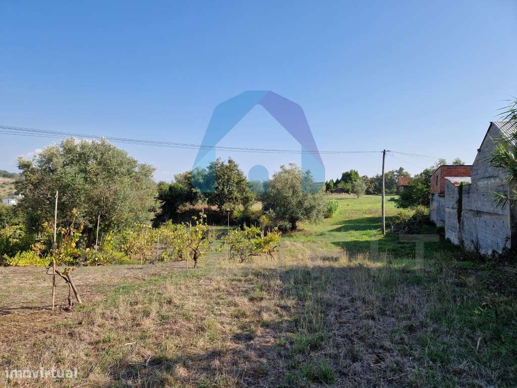 Terreno com Viabilidade de Construção - Pombal-5