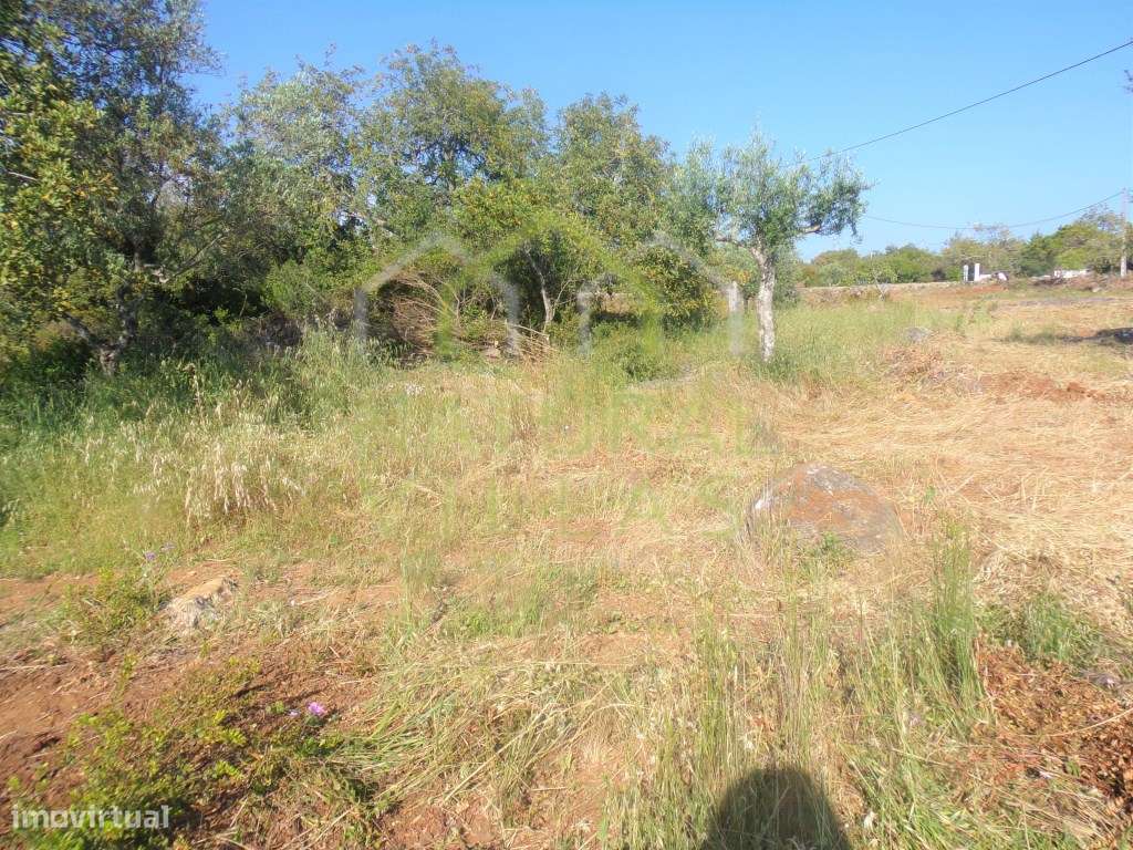 Ruína com Terreno Plano em Santa Bárbara de Nexe, Faro - Grande imagem: 5/9