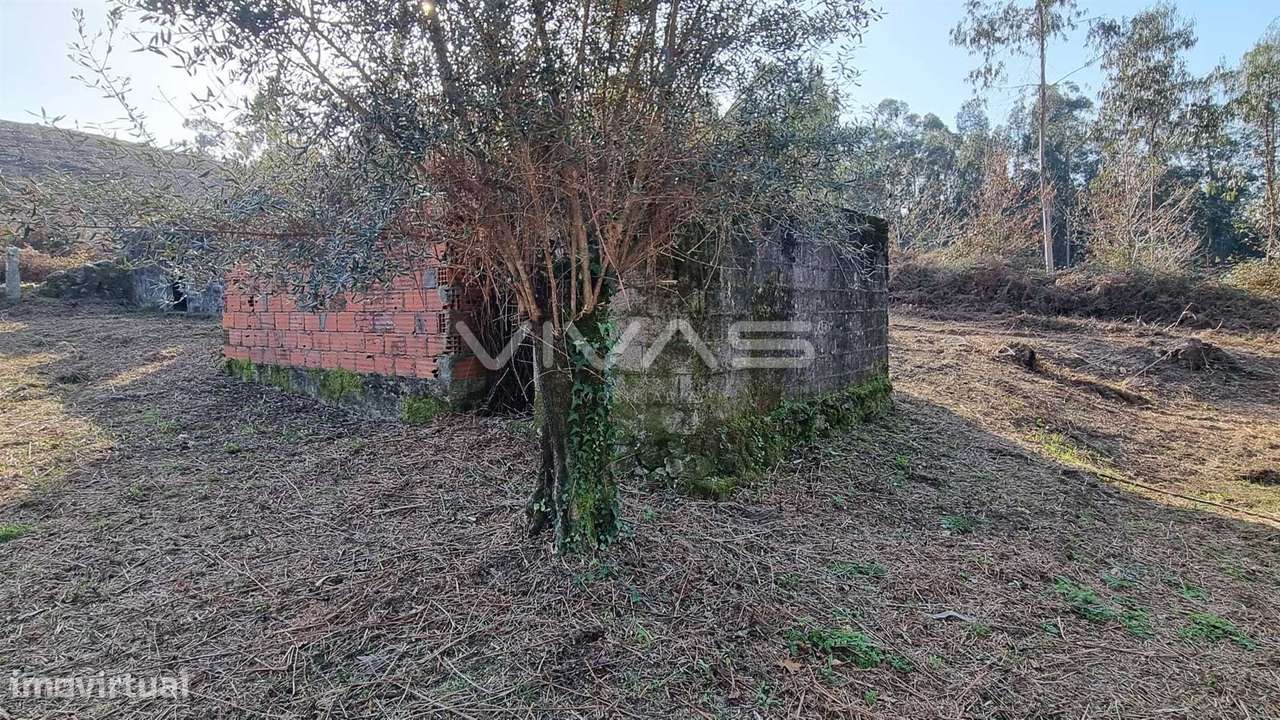 Moradia para recuperar em Gondiães, Vila Verde - Grande imagem: 5/11