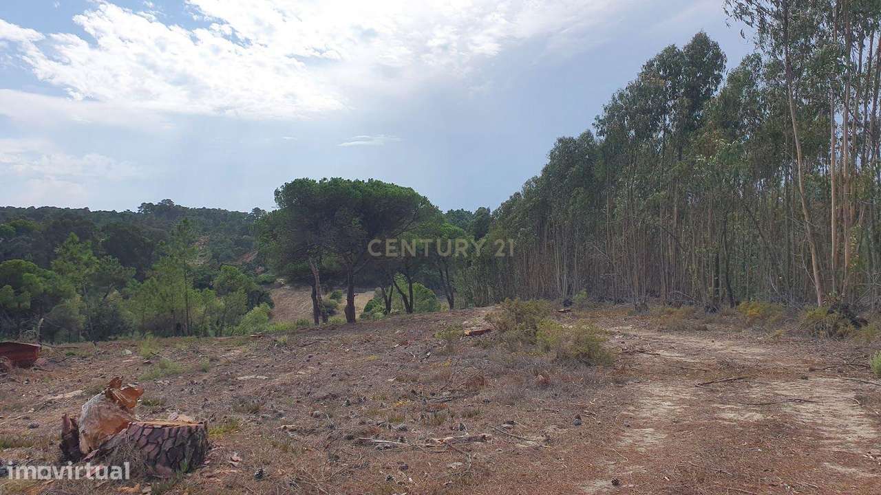 Terreno Rústico em Aiana de Cima - Sesimbra-2